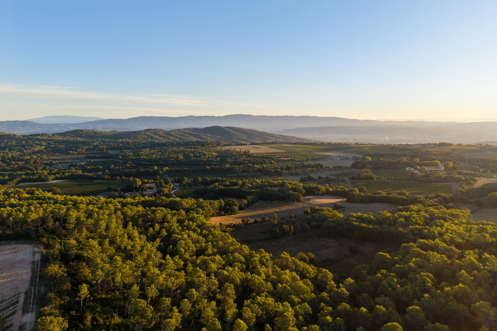 Vendanges 2026 - VincentAGNES-2