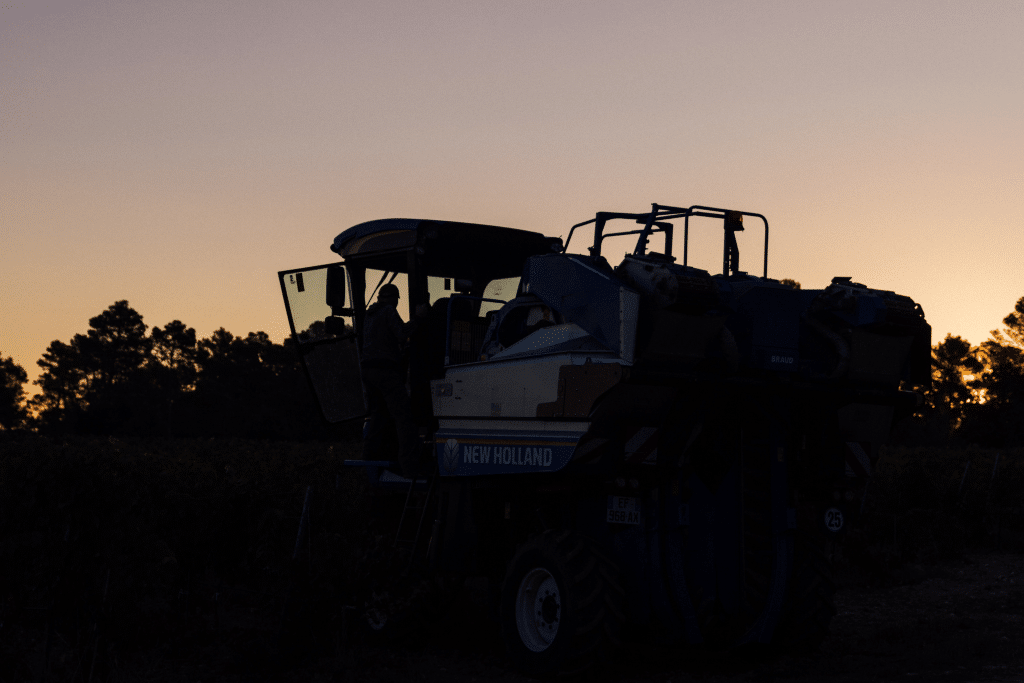 Vendanges 2026 - VincentAGNES