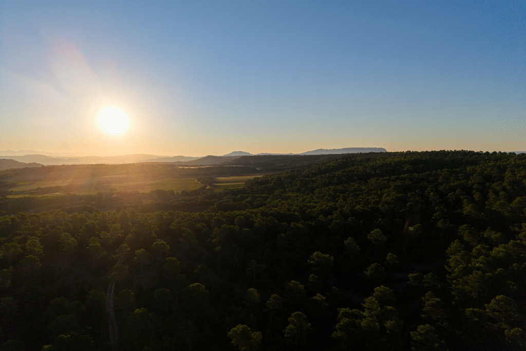 Vendanges 2026 - VincentAGNES