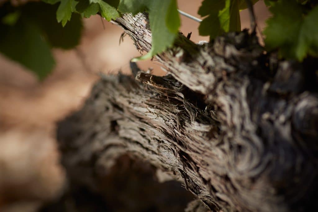 CHATEAU DU SEUIL 2016