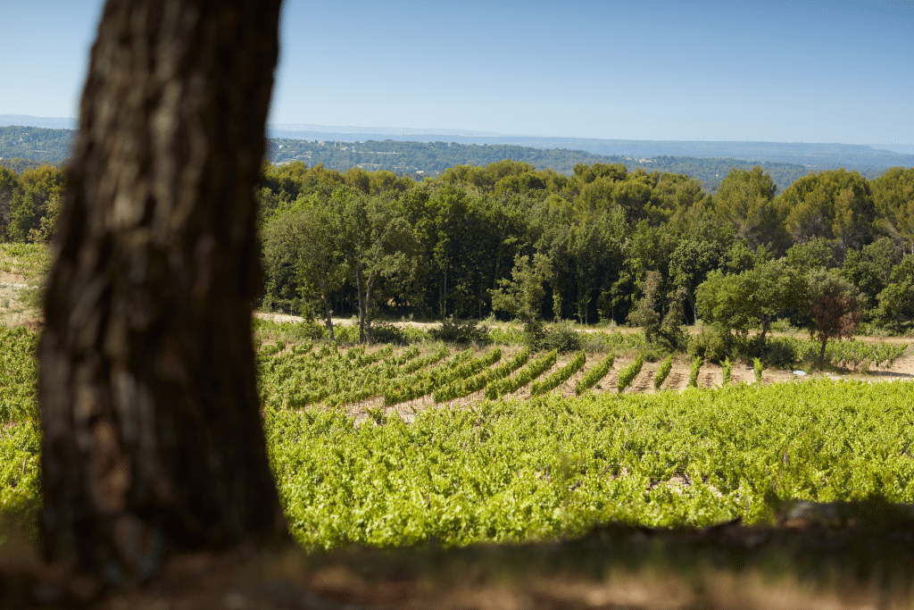 Sentier Château du Seuil